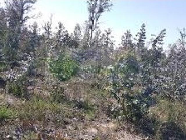 TERRENO 1100 M2 | BOM PREÇO