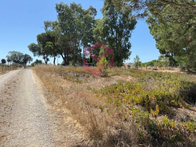 Terreno 1150m2 Caixas