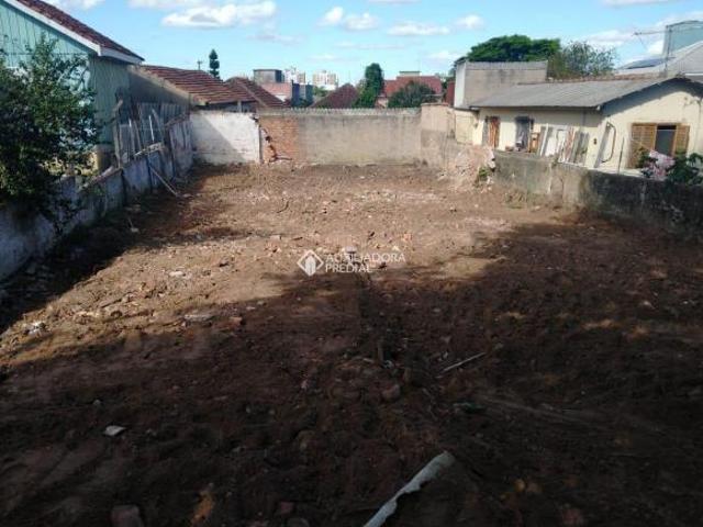Terreno 11x30 no Vila Ipiranga, limpo e regularizado para construir