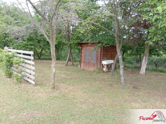 Terreno 12000mq