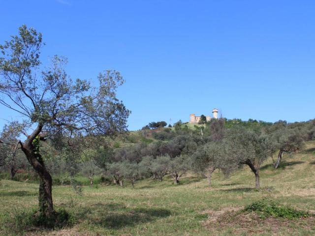 Terreno 12310mq