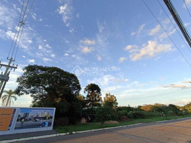 Terreno 12 x 50