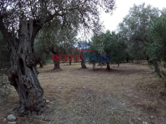 Terreno 130000mq
