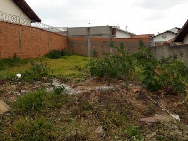 Terreno