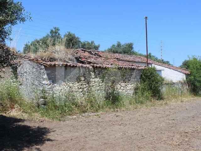 Terreno 13360 m2 Venda Fontinha Casais e Alviobeira Tomar Santarém