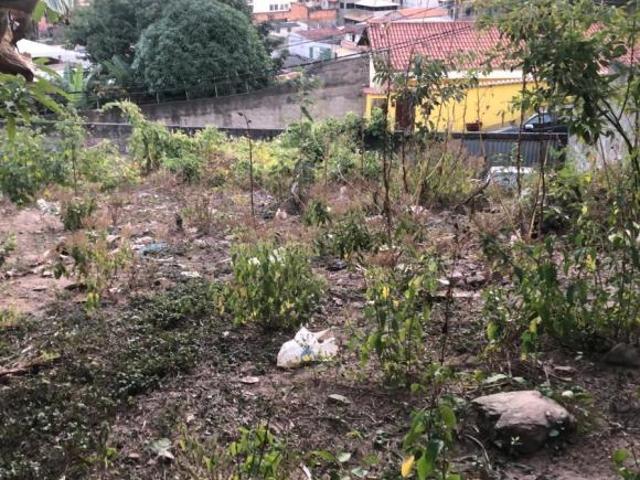 Terreno