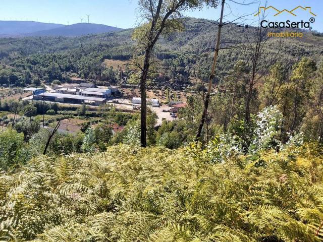 TERRENO