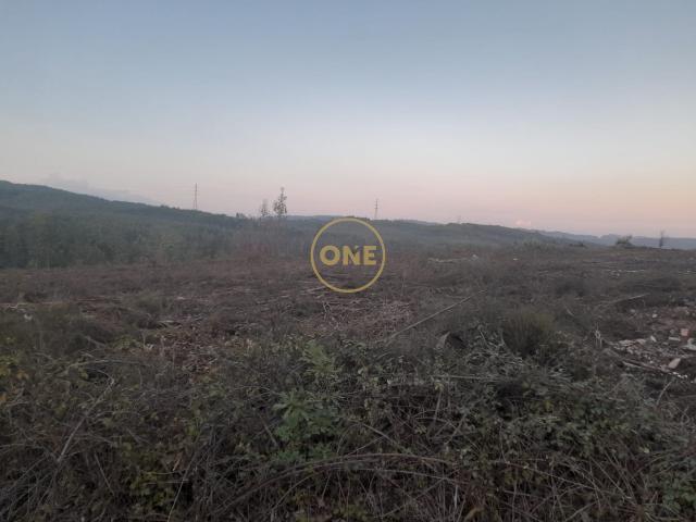 Terreno 13.000m2 em Agua Longa, Santo Tirso