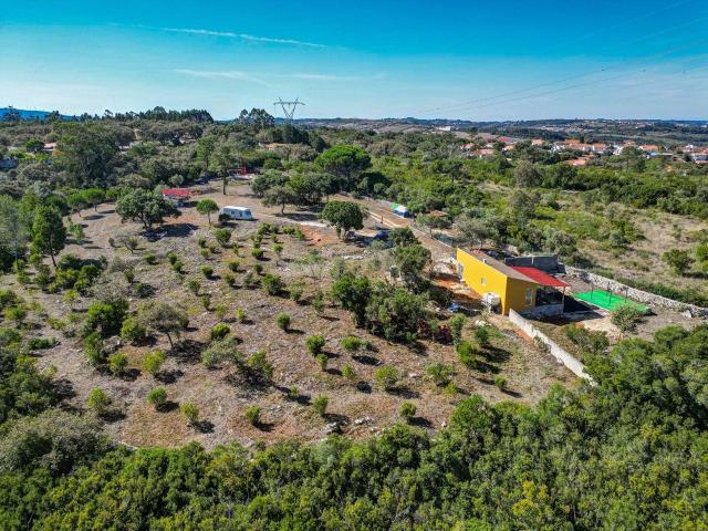 Terreno 13.800 m², Rendimento Imediato e Infraestruturas Completas