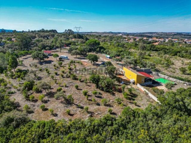 Terreno 13.800 m², Rendimento Imediato e Infraestruturas Completas