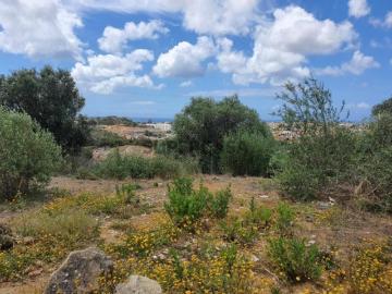 Terreno 1.3 ha, Alcabideche, Cascais