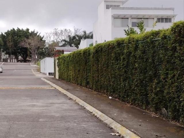 Terreno 1,000m² dentro del Fracc. Real del Bosque, zona Ánimas