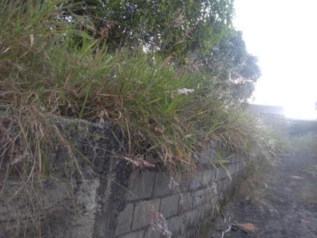 TERRENO 1.200 M2 COM CASA