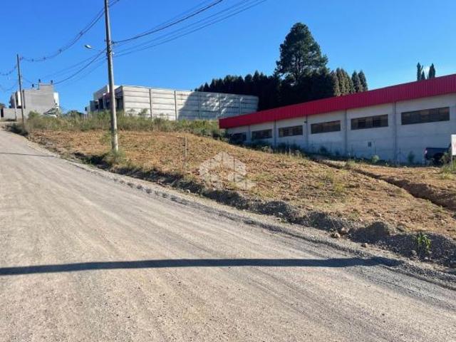 Terreno 1.289 metros bairro Vicentina Farroupilha RS