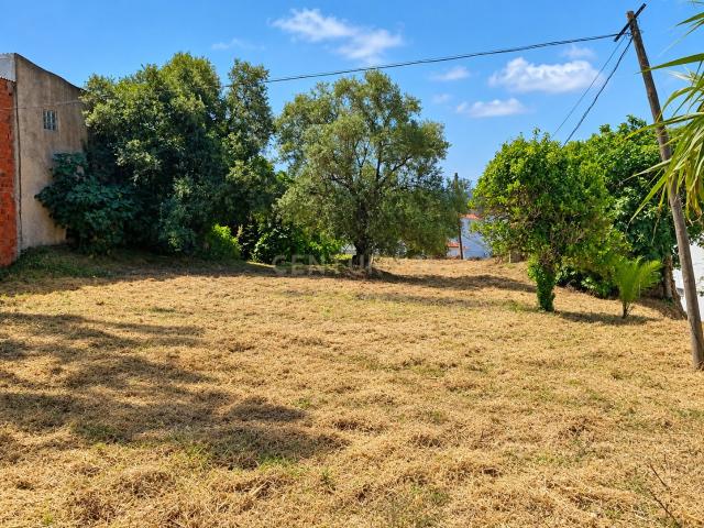 TERRENO 1.853 m² COM VISTA DESLUMBRANTE | ENTRE ALCOBAÇA E NAZARÉ