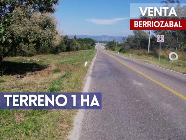 TERRENO 1 HA BERRIOZABAL