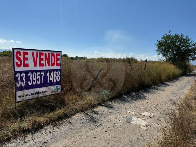 TERRENO 1 HECTAREA EN TALA