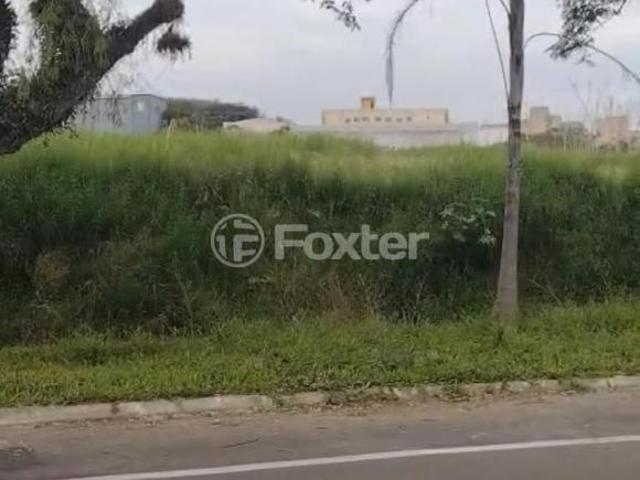 Terreno, 24169 m², em Centro