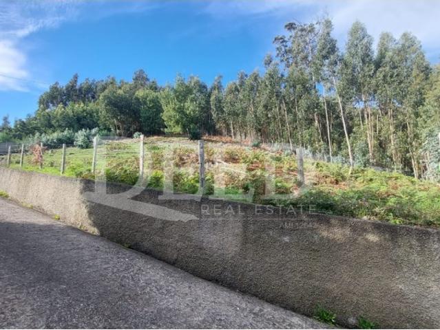 Terreno 2450 m2 para construir na Camacha