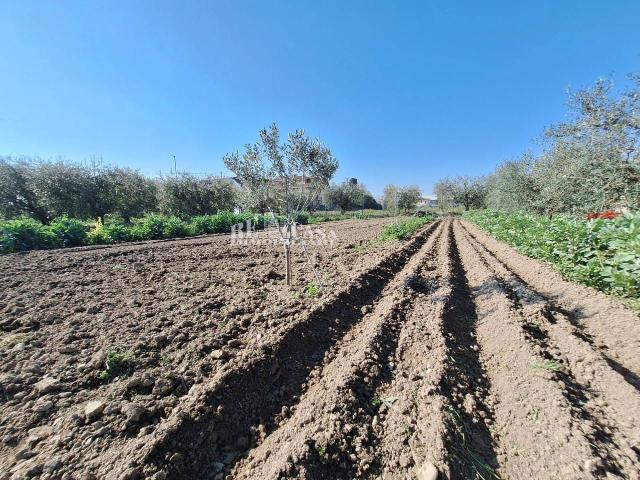 Terreno 2500mq