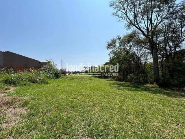 Terreno 250m² à Venda na Zona Leste de Londrina Ideal para Construção de Dois Sobrados, Excelente L