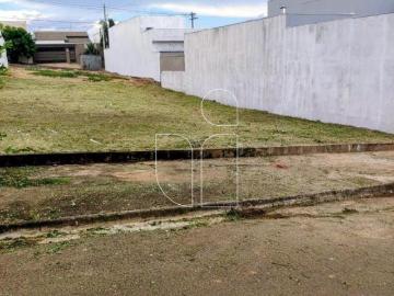 Terreno 264m² no Jardim Florença · Marília · R$ 210.000