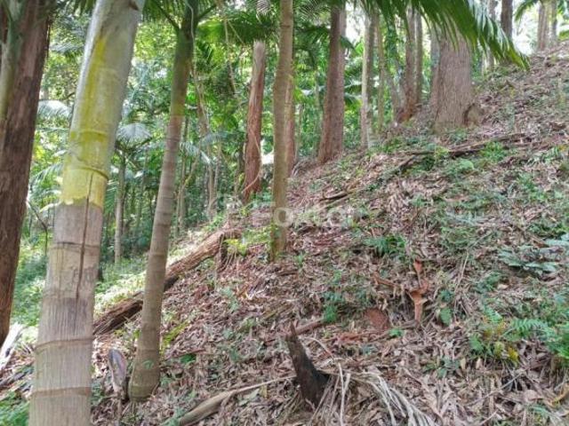 Terreno, 2675 m², em Fazenda Morumbi