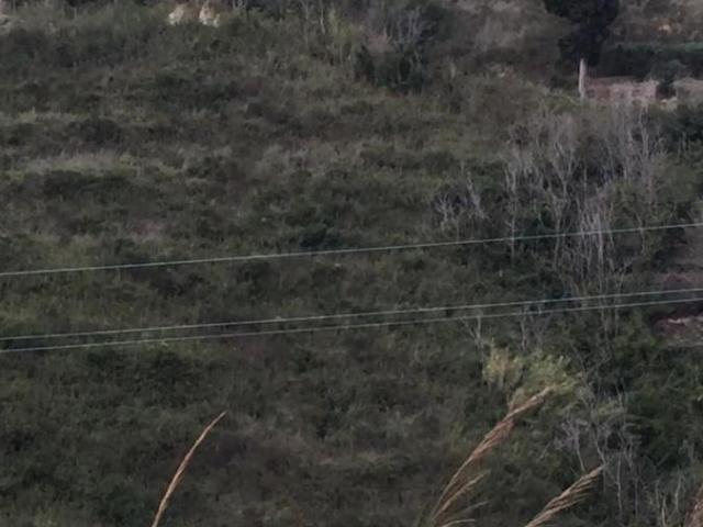 Terreno 2700mq