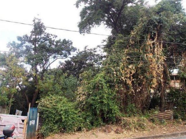 Terreno