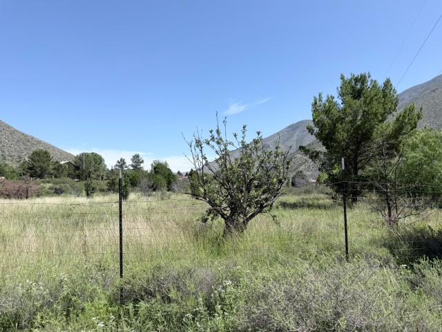 Terreno