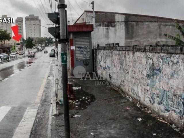 Terreno, 284 m² venda por R$ 1.400.000,00 ou aluguel por R$ 15.436,35/mês Vila Marieta São Pau