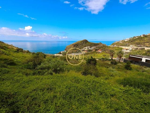 Terreno com 3766 m2 localizado em Tábua Ribeira Brava