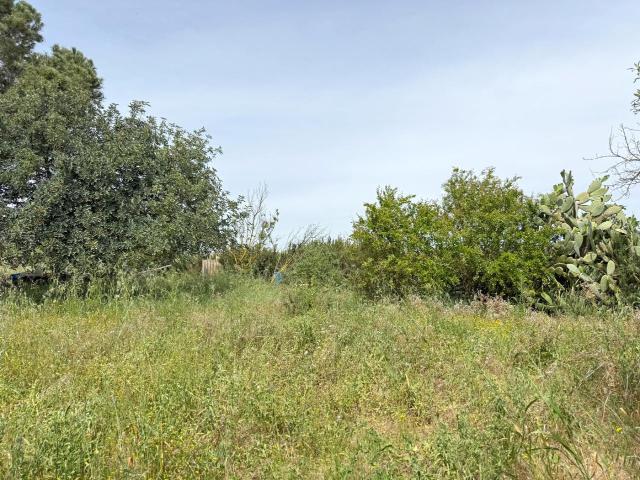Terreno 2960mq