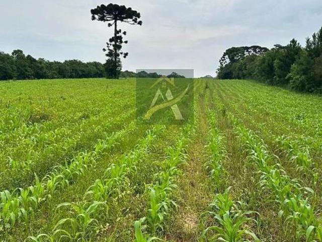 Terreno 29700m² Umbará