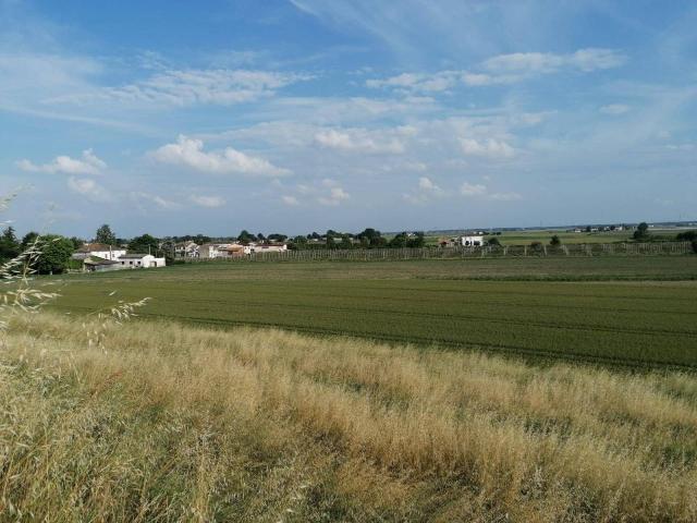 Terreno 20000mq