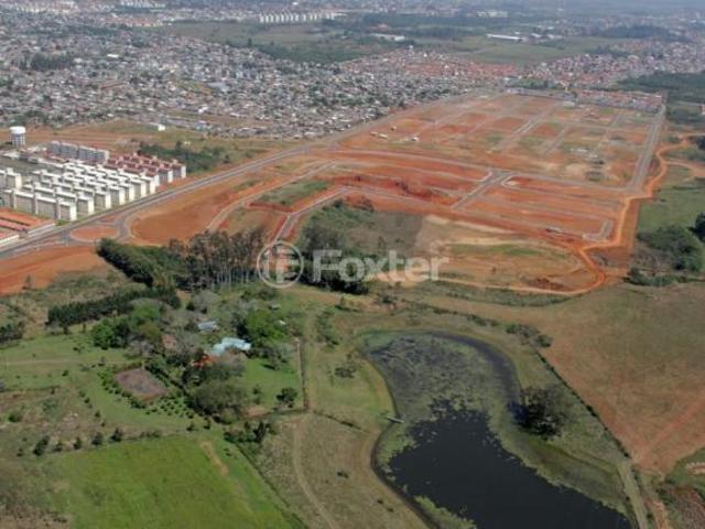 Terreno, 200 m², em Guajuviras