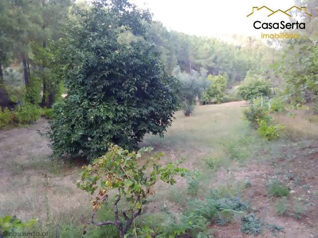 Terreno