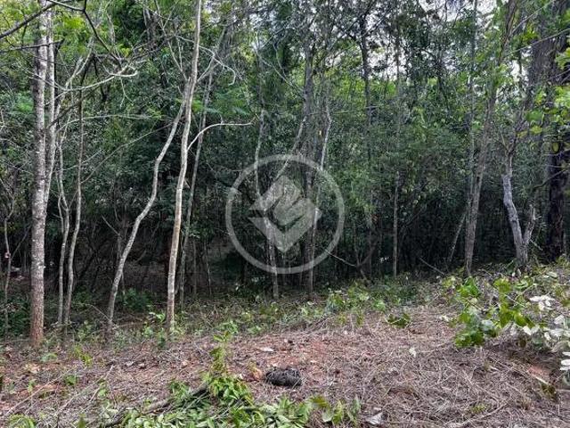 Terreno 20.000m2 localizado em Baldim MG My Broker Lagoa Santa