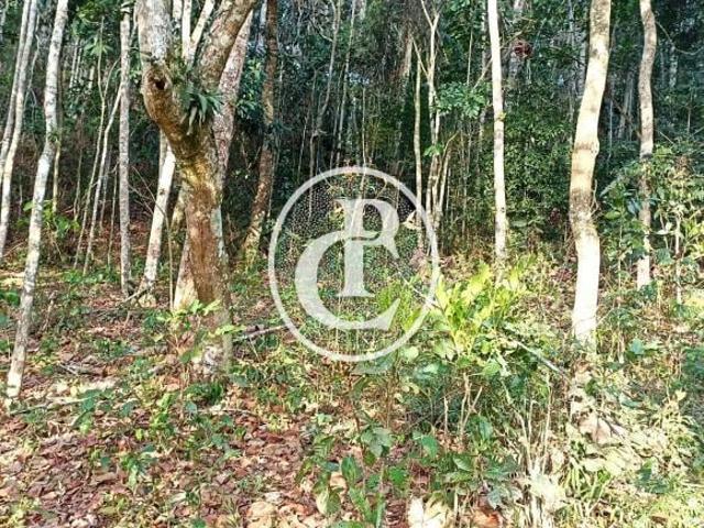 TERRENO 20.000m² com Escritura e localização Estratégica PARAIBUNA/SP