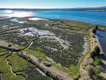 Terreno 20,18ha, Montijo Seixalinho, para actividades de piscicultura e agricultura