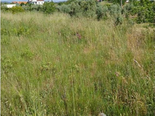 Terreno