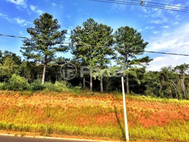 Terreno, 212 m², em Espírito Santo
