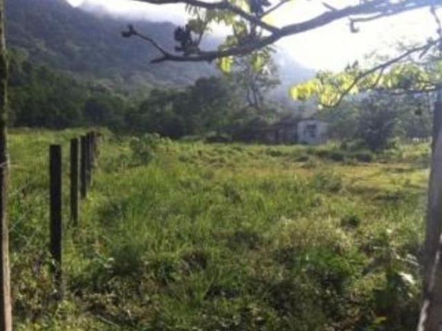 Terreno 21.000 m² com projeto para condomínio venda por R$ 5.500.000 praia de Paúba São Se