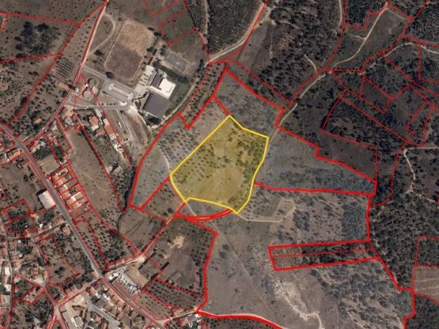 Terreno | 21.960 m² | Viabilidade construtiva | Vila Nova da Barquinha