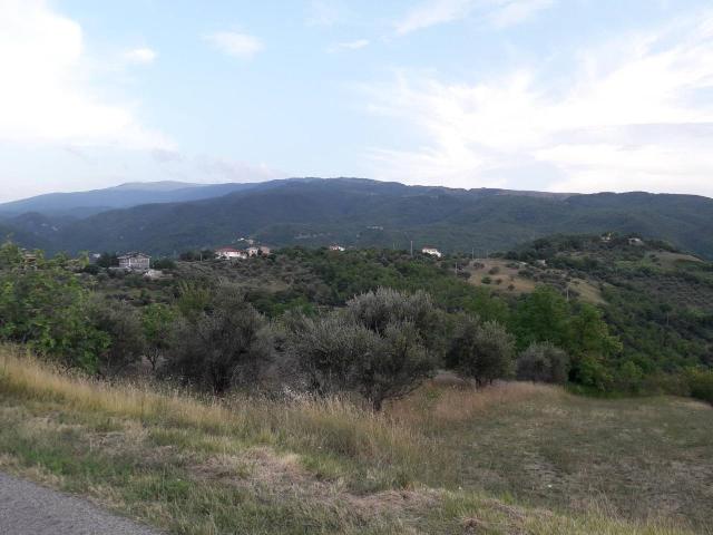 Terreno 22000mq