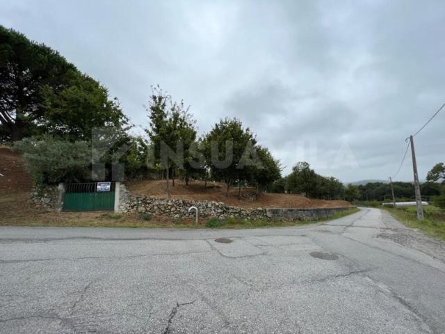 Terreno