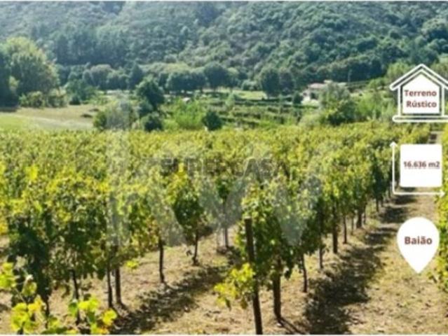 Terreno 2289/268 em Gove com 16.636m2, localizado em Baião
