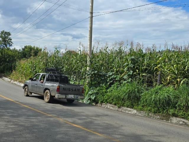Terreno