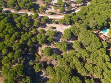 Terreno 2.6 ha, Santo Estevão, Benavente