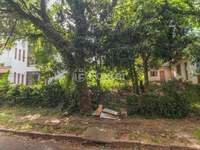 Terreno, 345 m², em Vila Ipiranga